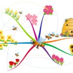 MindMap Nederland Bijen