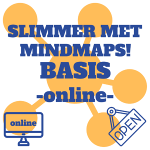MindMap Nederland MindMappen Slimmer met MindMaps Basis Online
